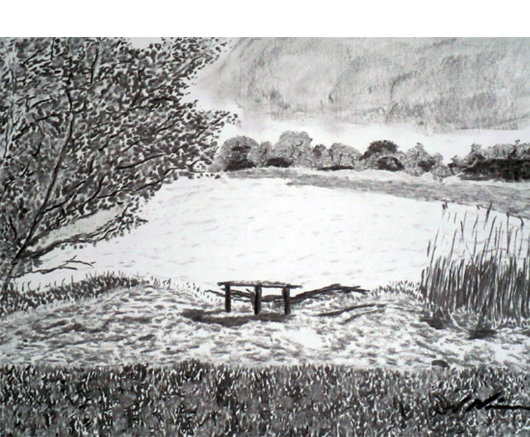 Dirk Nienemann, Künstler Holzkohlezeichnungen, Lehrte Hannover, Drucke Holzkohlezeichnungen,Abstrakte, Landschaft, Stillleben